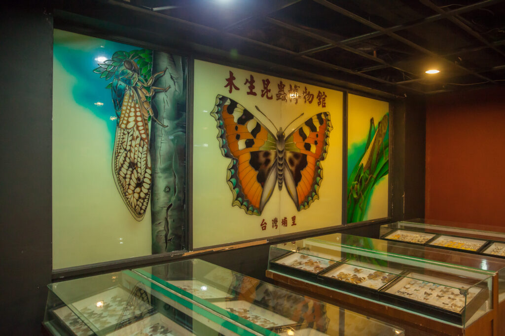 木生昆蟲博物館 (4)
